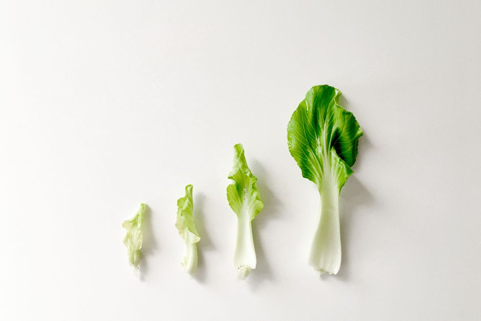 離乳食中期は「栄養」と「食べやすさ」の両立ができる